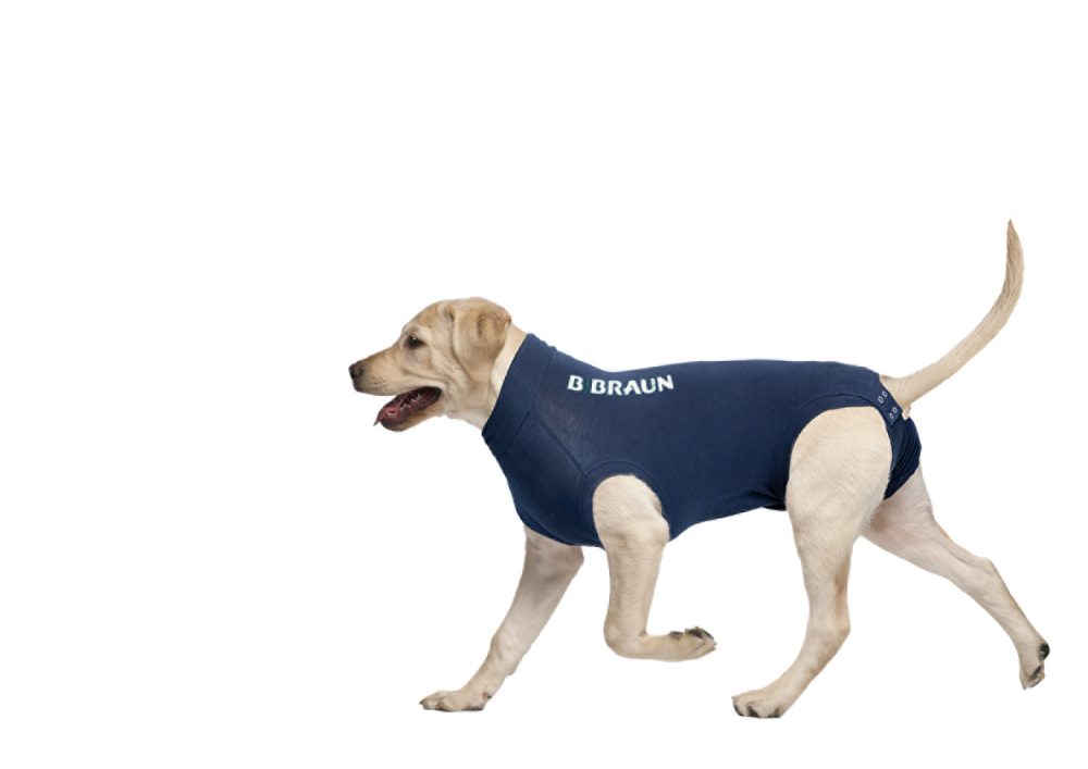 CAMISETA PROTECTORA PERRO M  55 CM AZUL (MPS-M)