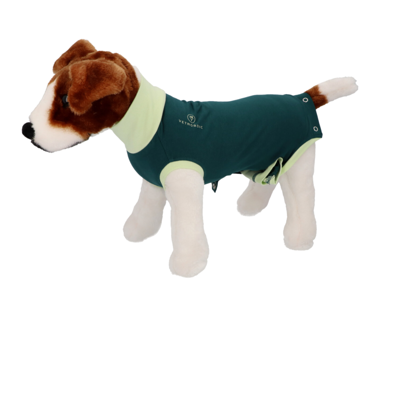 BODY PERRO ALGODON ORGANICO VERDE 34 CM TALLA XS (21243)(570109)