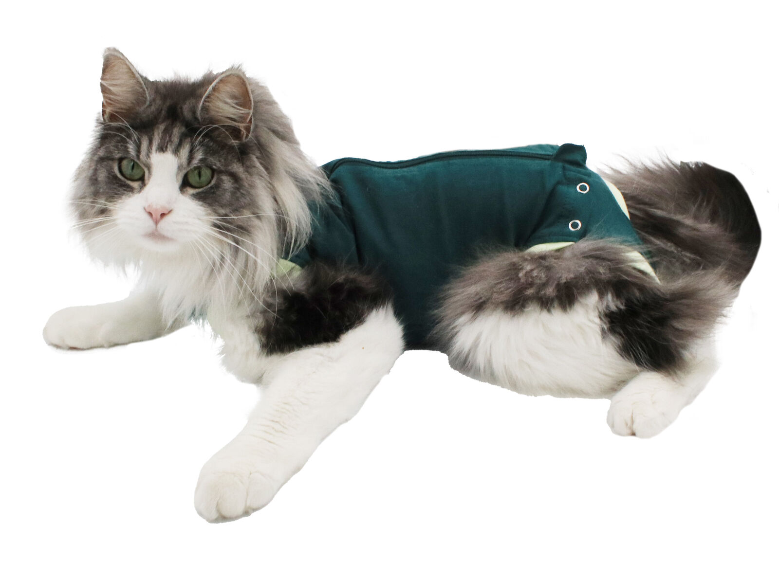 BODY GATO ALGODON ORGANICO VERDE 25 CM  (21237)(570252)