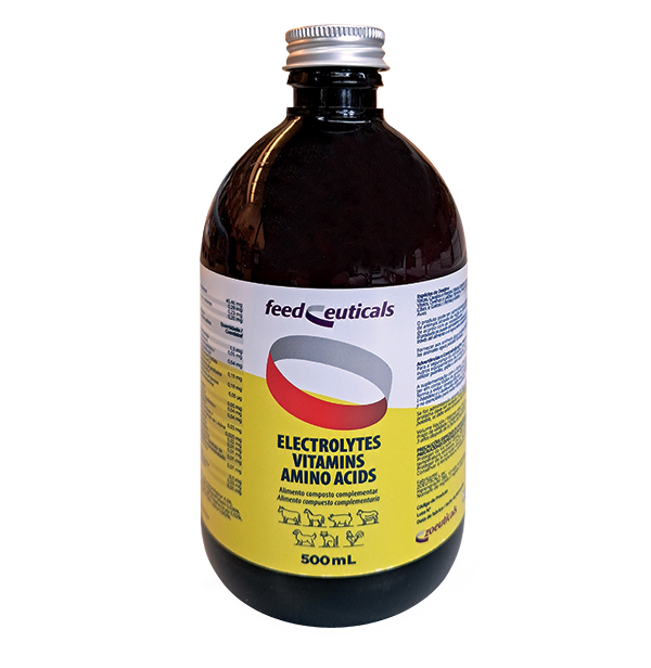 ELECTROLYTES 500 ML