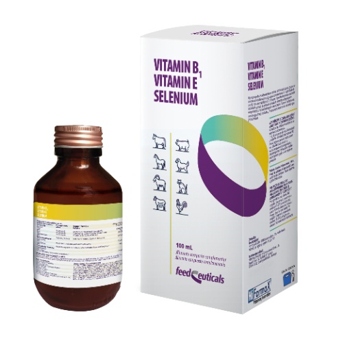 VITAMIN B1 VITAMIN E SELENUIM 100 ML VITAMIN B1 VITAMIN E SELENUIM 100 ML