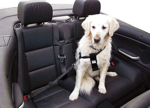 CINTURON SEG. PERROS "S" 30-60 CM (REF.2218)