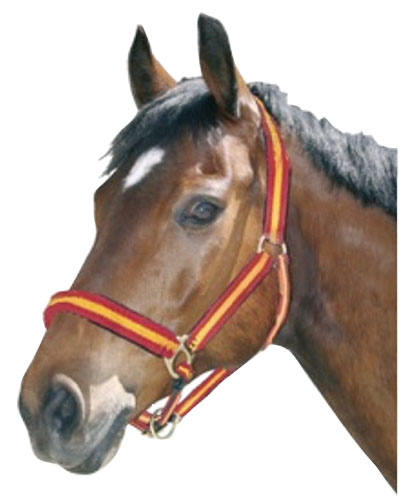 CABEZADA CABALLO BANDERA ESPAÑOLA Nº1 (REF.1091)