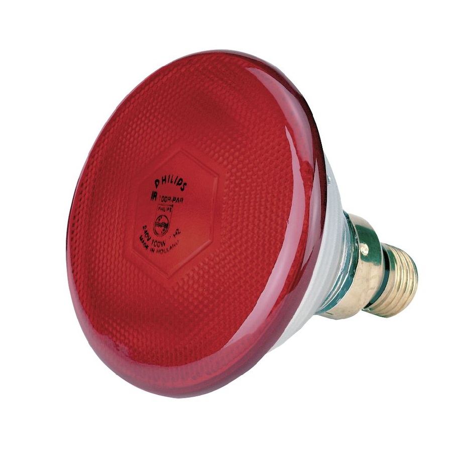 BOMBILLA REFORZADA PHILIPS 175 W ROJA (10702)