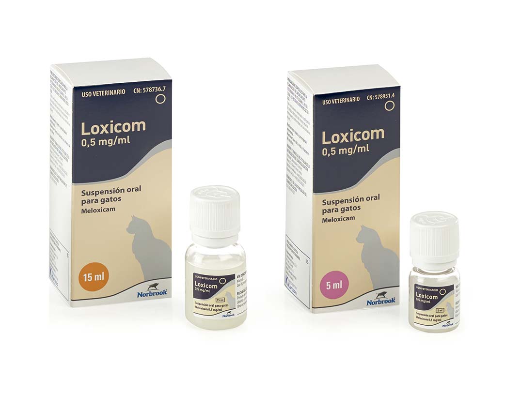 LOXICOM 0.5 MG/ML ORAL GATOS 5 ML