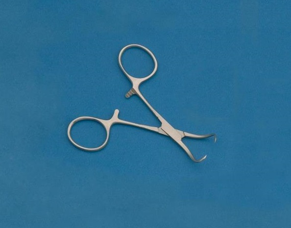 PINZA DE CAMPO BACKHAUS-MAYO 9 CM (REF.IN1002191)