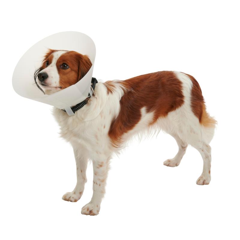 Collar isabelino opaco 25 cm Kruuse para perros y gatos