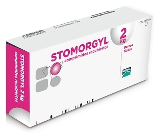 STOMORGYL 2 KG 20 COMP