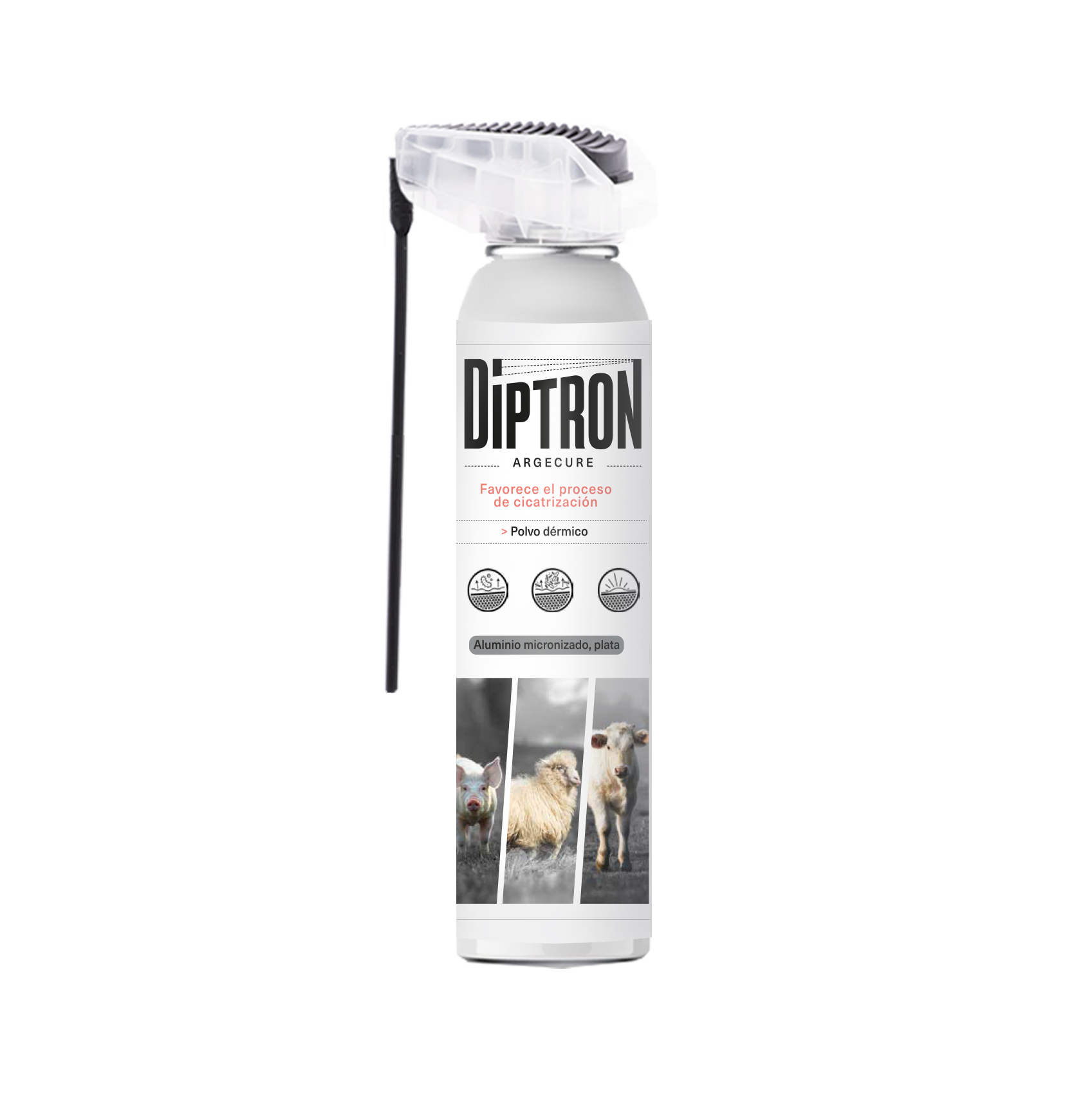 DIPTRON ARGECURE SPRAY 250 ML