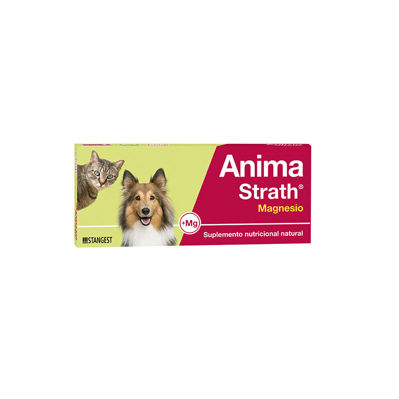ANIMA STRATH MAGNESIO 40 COMP