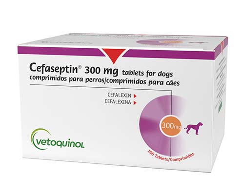 CEFASEPTIN 300 MG 100 CP (439394)