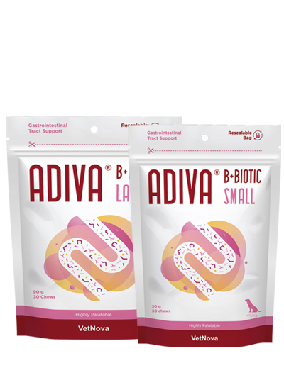 ADIVA B+BIOTIC SMALL 30 CHEWS