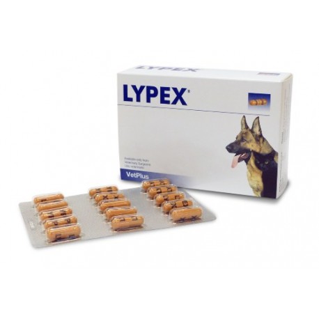 LYPEX 60 CAPS