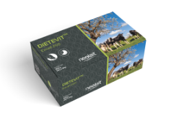 DIETEVIT EXCELL 10 BOLOS 95 G