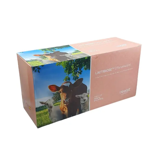 LACTIBIOSE 24 SOBRES 90 G