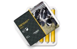 DIETEVIT ACTIV 10 BOLOS X 68 G