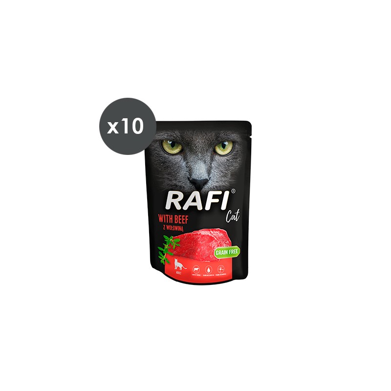 RAFI CAT PATÉ TERNERA 10x300gr (13 125)