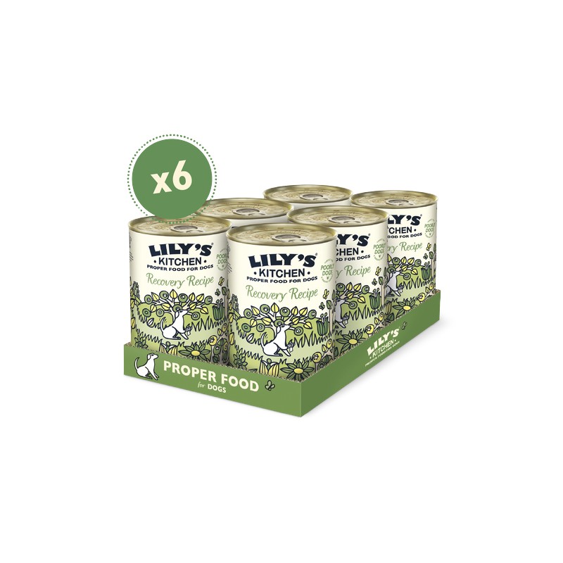 LILY´S RECOVERY RECIPE TIN 6 X 400 G (ANDRR10)