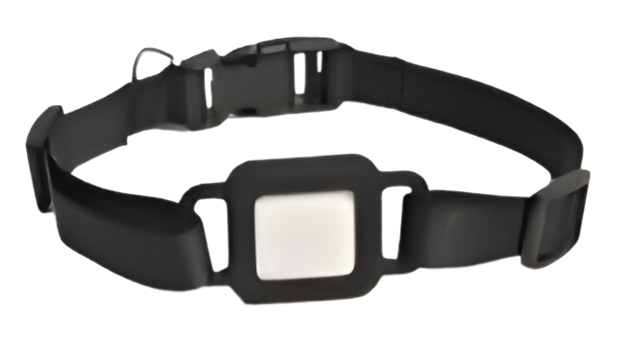 IK MY SPOT COLLAR NEGRO (110-IKMSP-C-N)