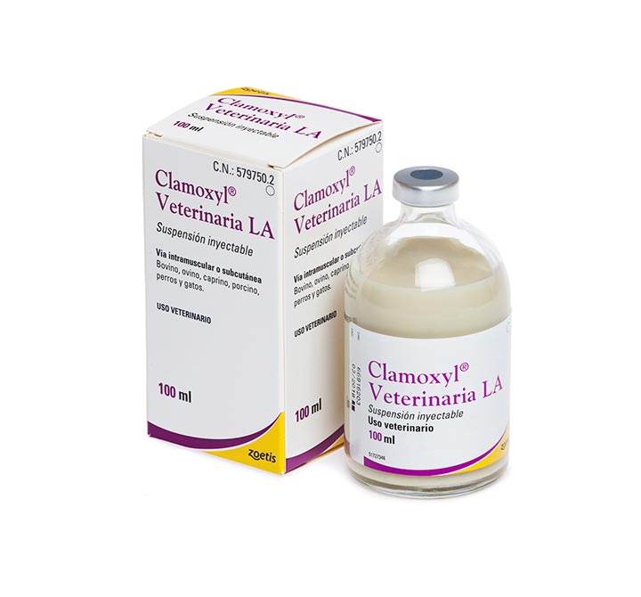 CLAMOXYL L.A 100 ML (10000095)