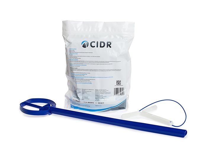 CIDR 10 UDS (10002932)